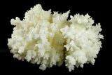 Sparkling Cave Calcite (Aragonite) Formation - Potosi Mine, Mexico #293707-2